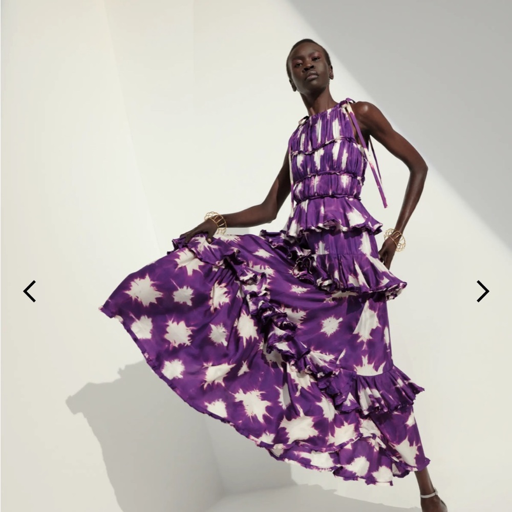 NWT: Ulla Johnson Serafina Gown Cassis Blur (2)